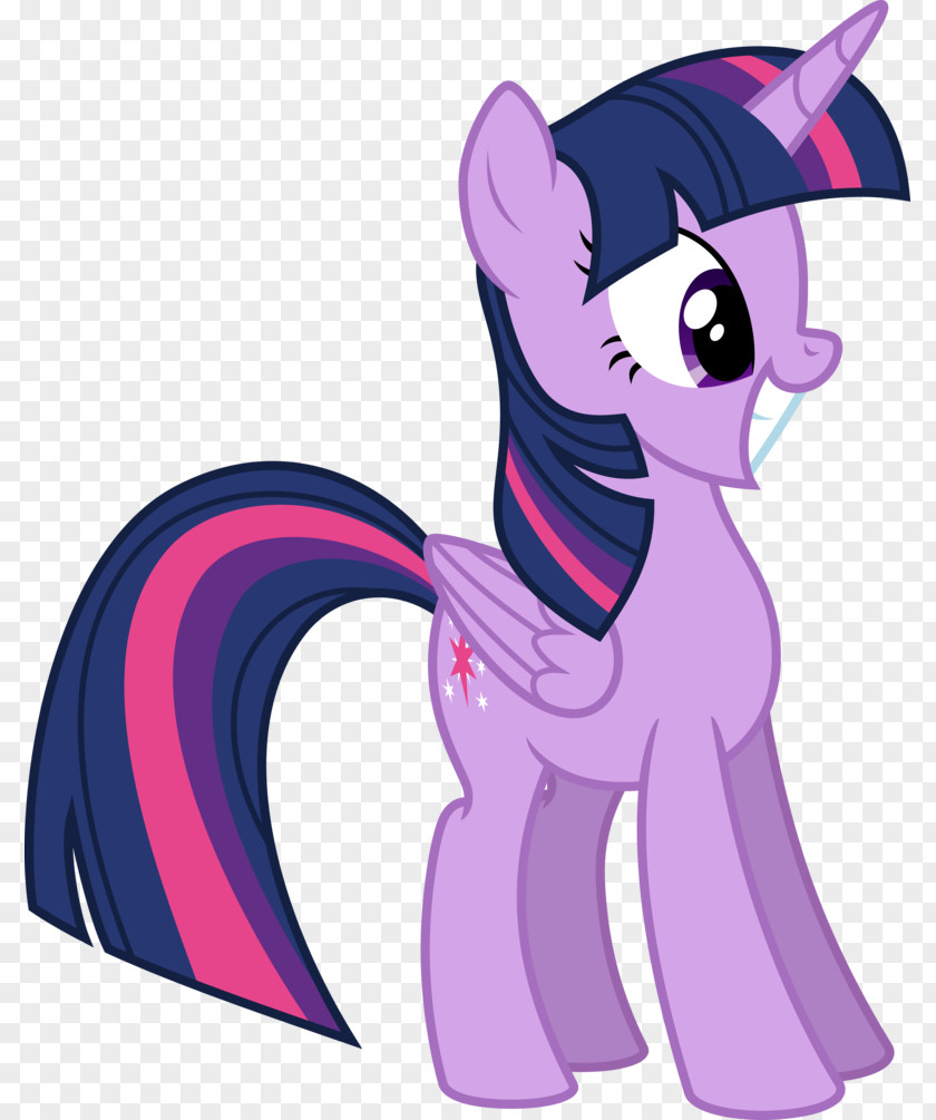 Princess Twilight Sparkle Pinkie Pie Rarity Rainbow Dash Pony PNG