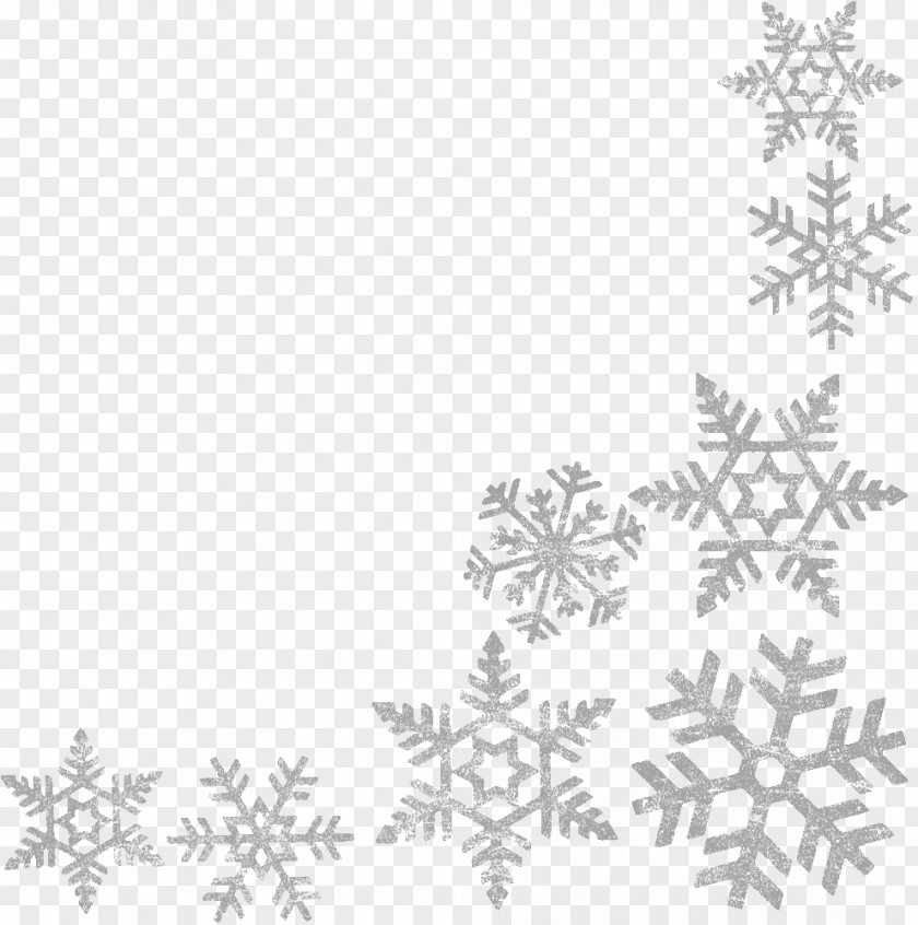 Snowflakes Border Frame Image Wells Branch Community Library Central Snowflake Clip Art PNG