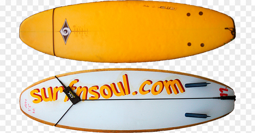 Surfing Surfnsoul.com Surfboard Wetsuit Boardleash PNG