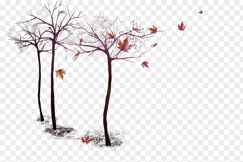 Autumn Tree Twig Image PNG