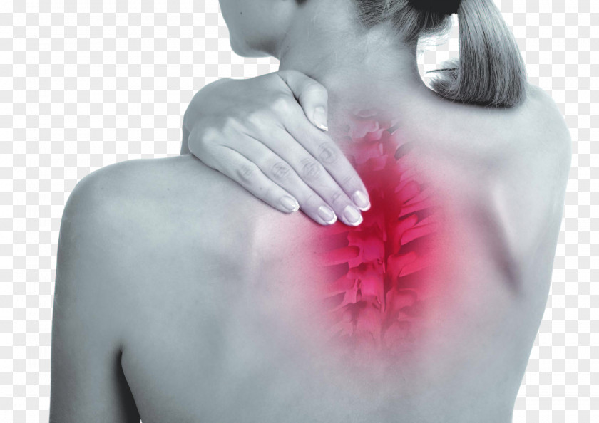 Back Pain Neck Middle Shoulder Ovarian Cyst Management PNG