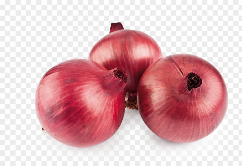 Onion Red Pickled Cucumber Vegetable Garlic PNG