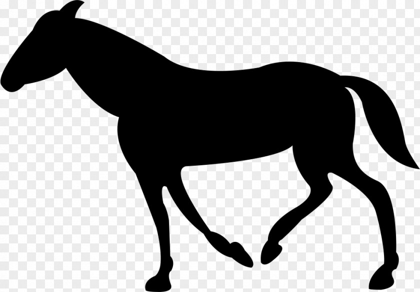 Silhouette Thoroughbred Pony Clip Art PNG