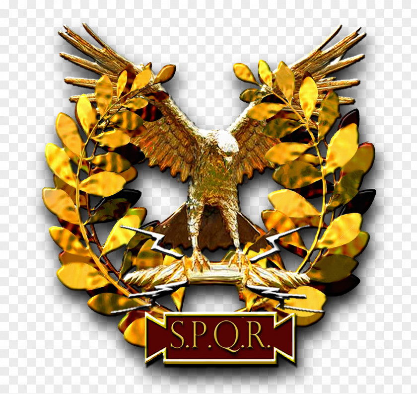 The Story SPQR Aquila Roman Army PNG
