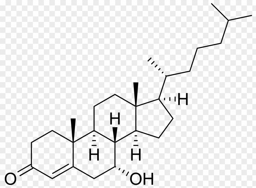 4hydroxytempo Cholestane 7α-Hydroxy-4-cholesten-3-one Cortisol Triamcinolone Estradiol PNG