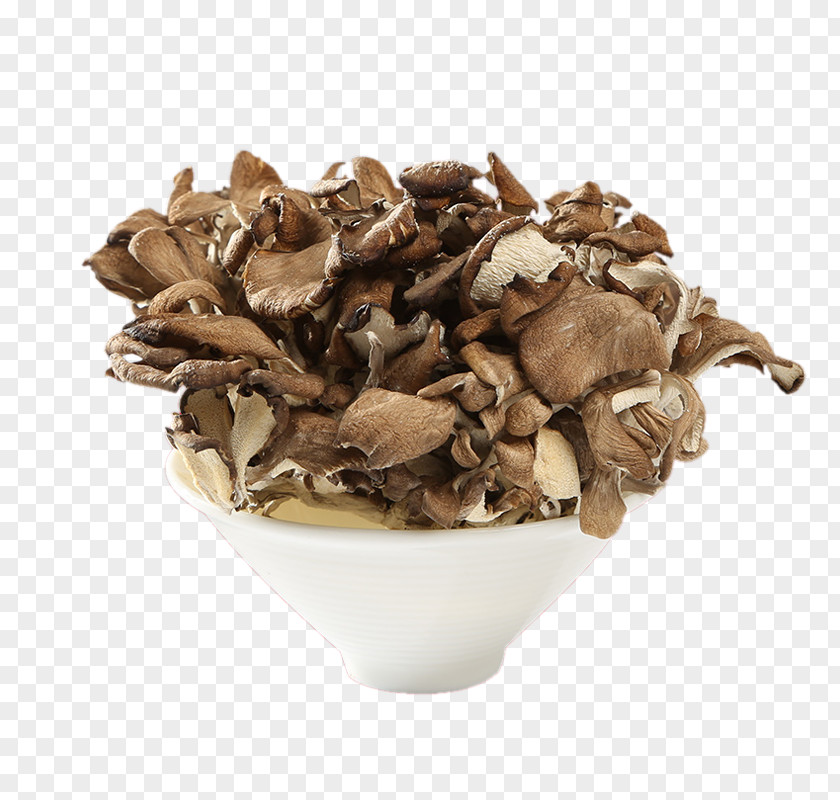 Ash Tree Mushroom Image Gutian County Hen-of-the-wood Food Drying Shiitake PNG