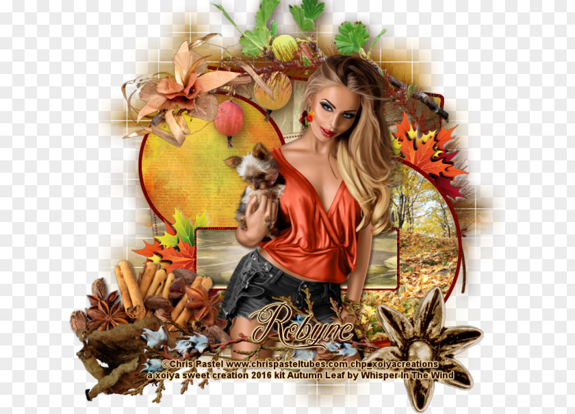 Autumn Wind Photomontage Boilie Spice PNG