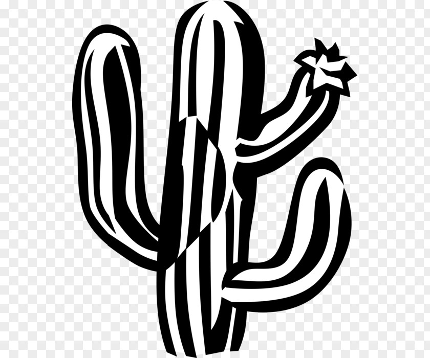 Cactus Clip Art Black And White Vector Graphics Image Illustration PNG
