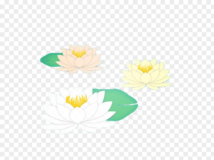 Lotus Floral Design Yellow Petal Pattern PNG