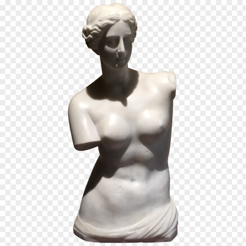 Marble Bust Sculpture Statue Shoulder PNG