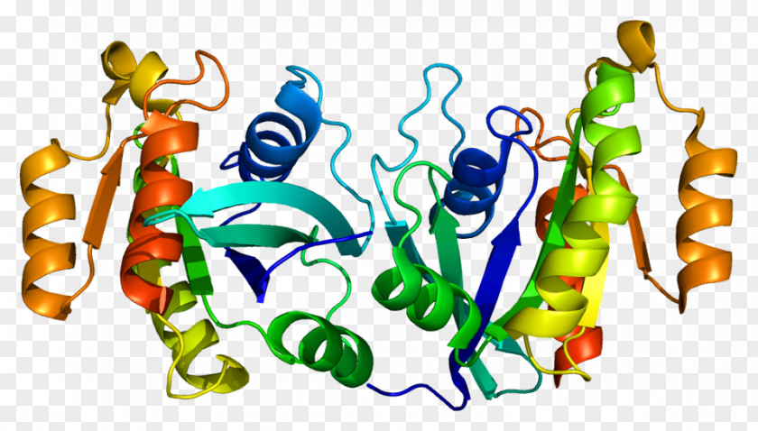 Melanosome RAB11A RAB11B Protein RAB25 PNG