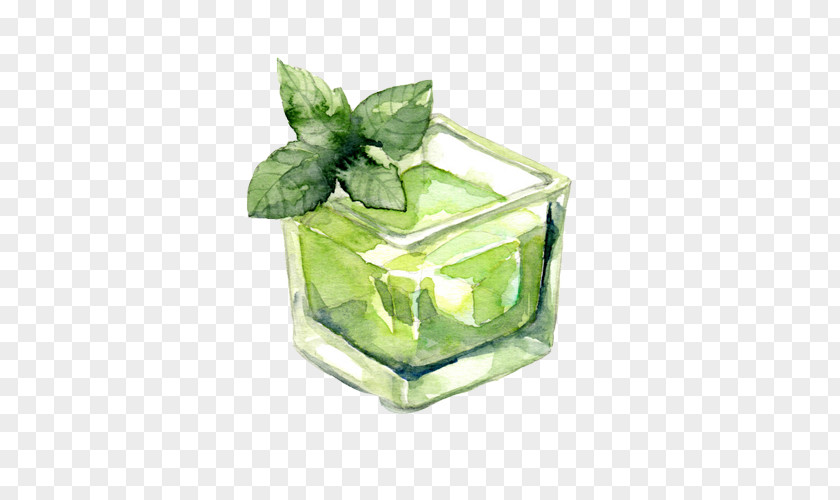 Mint Sailor Painting Material Picture Water Menthol Ice Cube Drink PNG