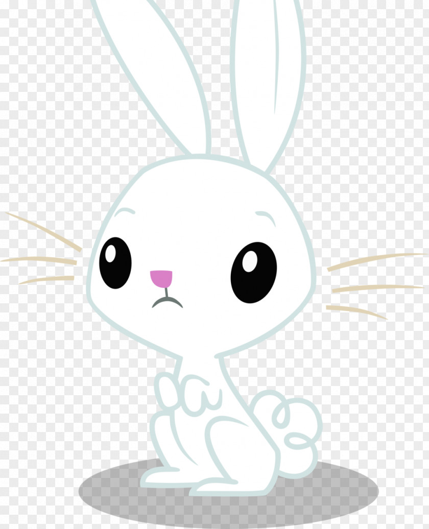Rabbit Domestic Whiskers PNG