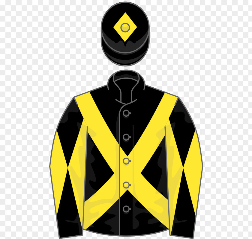Thoroughbred 2015 Belmont Stakes Horse Racing Jockey Clip Art PNG