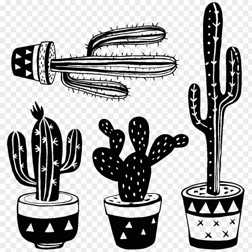 Cactus Vector Graphics Stock Photography Illustration Royalty-free PNG