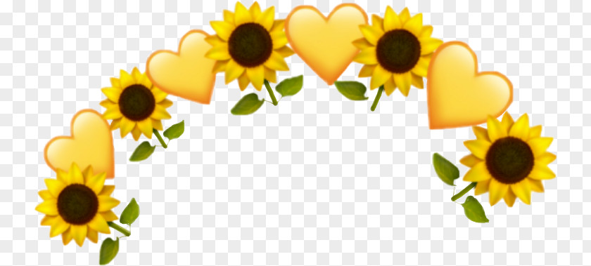 Floristry Daisy Family Heart Emoji Background PNG