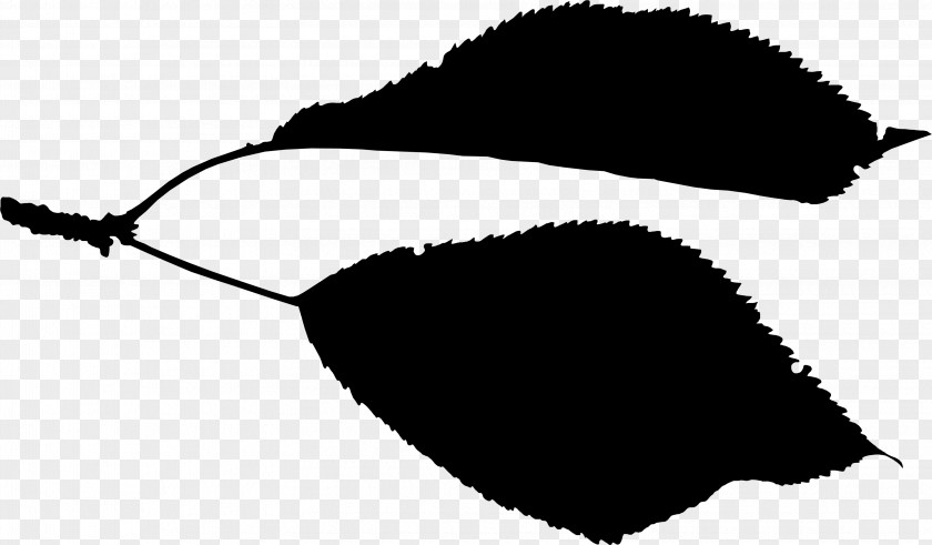 Leaf Clip Art Line Black M PNG