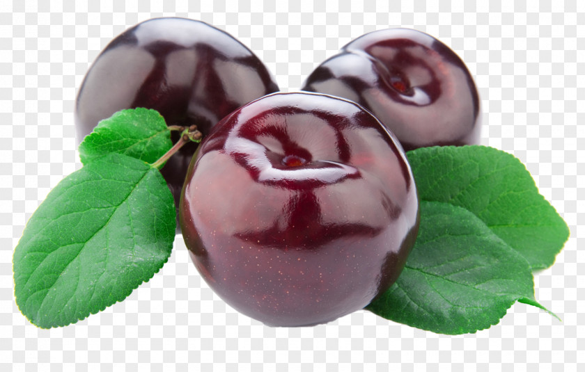 Plum Cherries Prune Food Fruit PNG