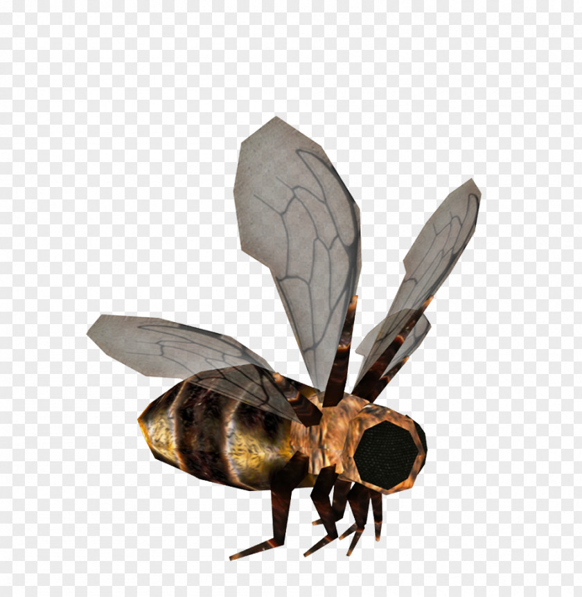 Bee Wings Hornet Apis Florea Insect PNG