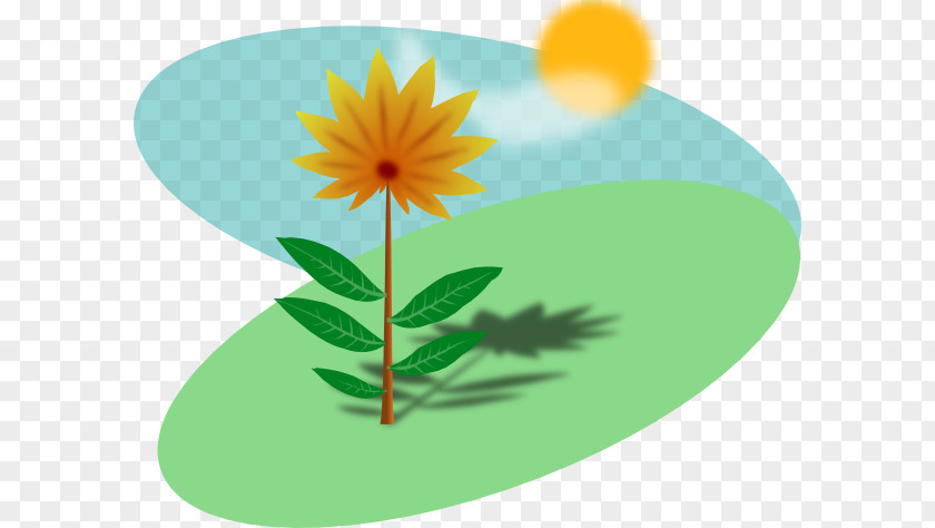 Need Cliparts Plant Sunlight Clip Art PNG