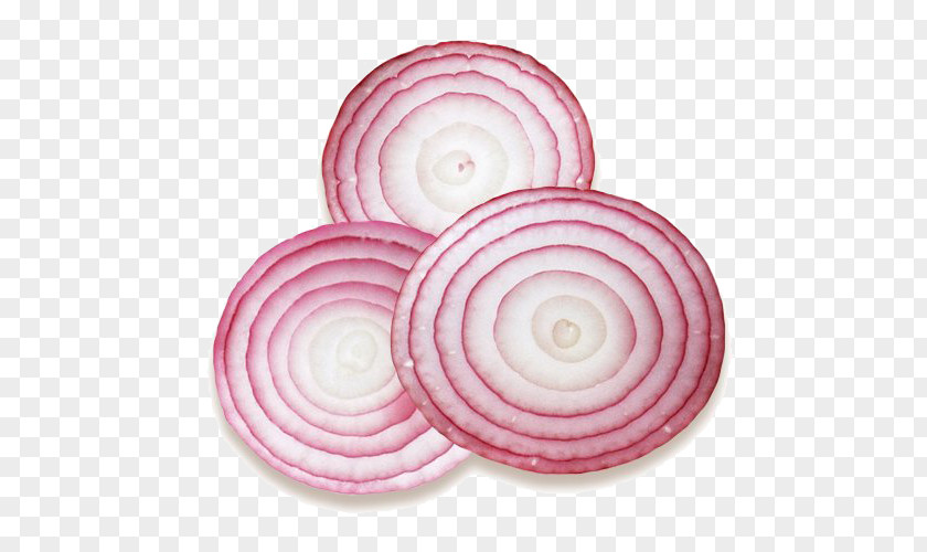 Onion Red Ring Pizza Hamburger PNG