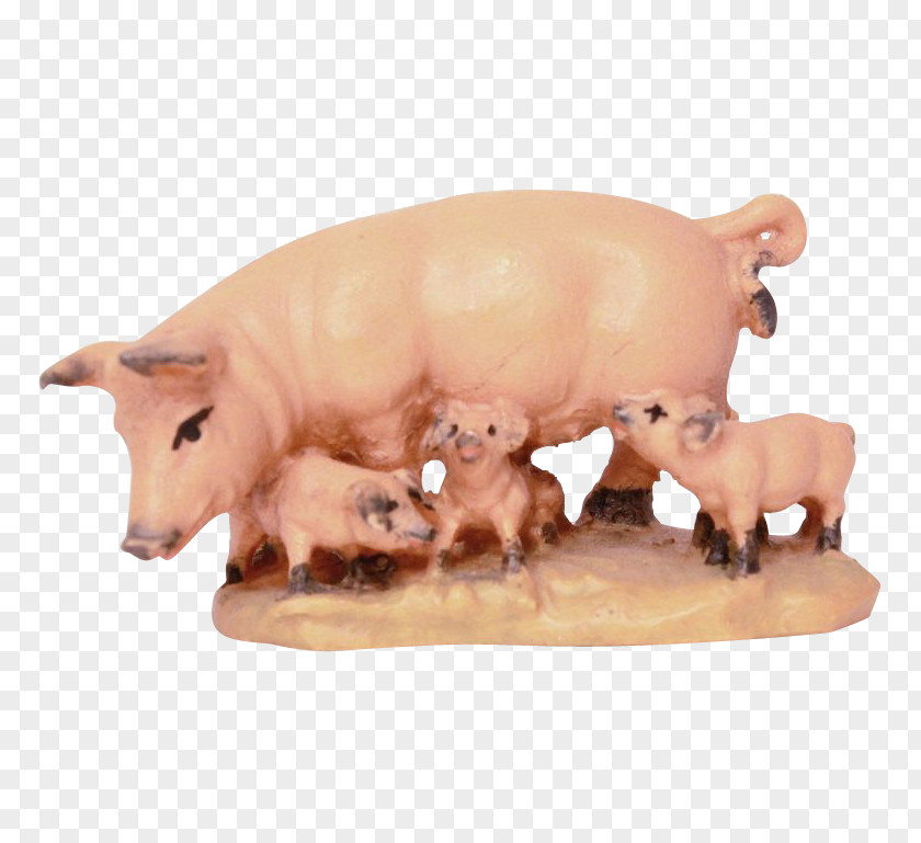 Pig Miniature Pig's Ear Animal Snout PNG