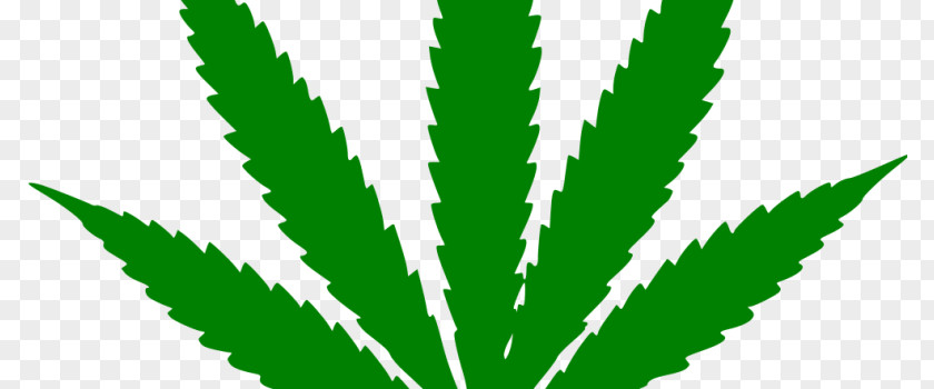 Cannabis Medical 420 Day Leaf Dispensary PNG
