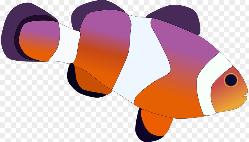 Clownfish Coral Reef Vector Graphics Pixabay Image PNG