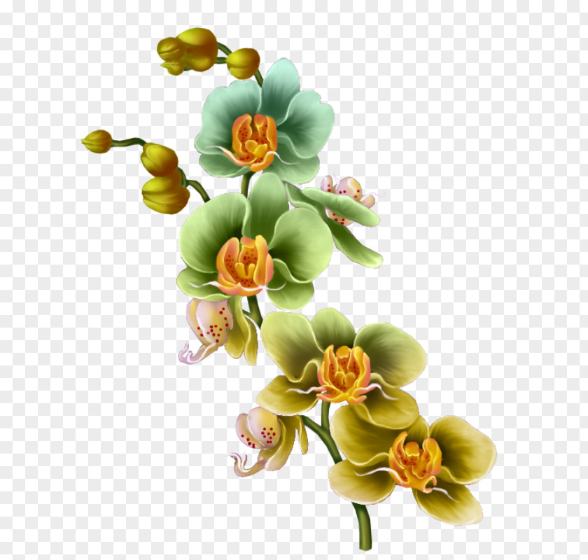 Flower Floral Design Drawing Painting PNG