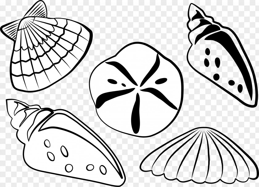 Seashell Black And White Clip Art PNG