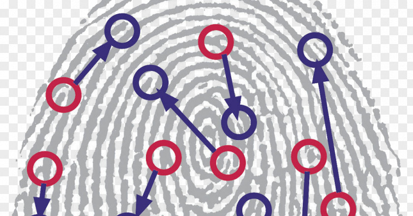 Technology Fingerprint Dermatoglyphics Pattern Recognition Biometrics PNG