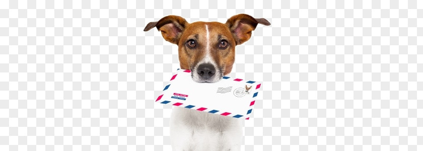 Dog Breed Letter Mail 4 Pics 1 Word PNG