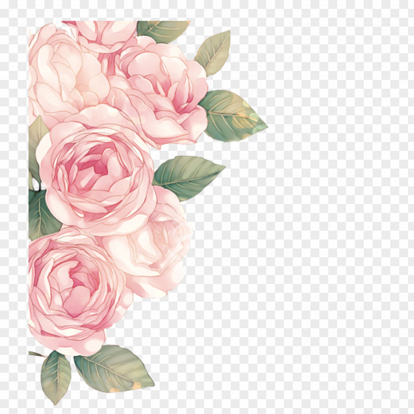 Flower Clip Art Pink Flowers Peony PNG