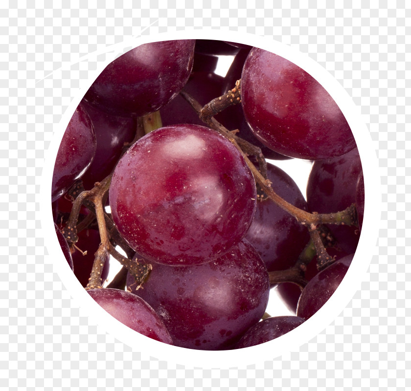 Grape Seed Oil Antioxidant Vitamin E PNG