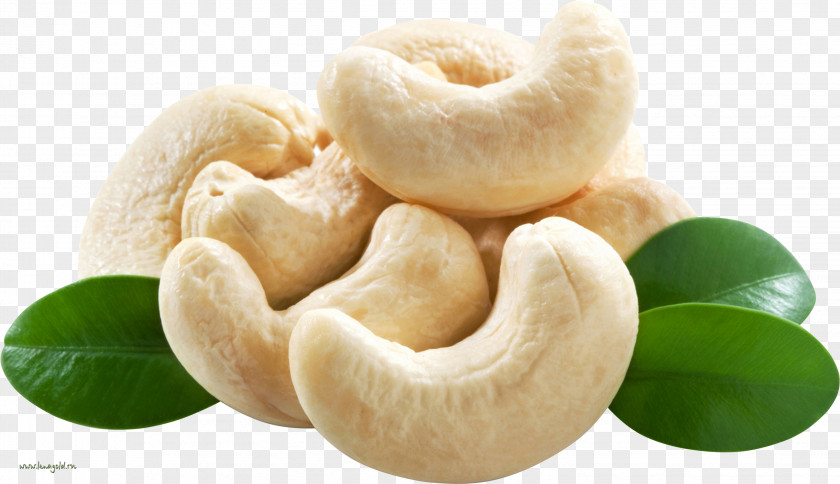 India Cashew Nut Accessory Fruit Food PNG