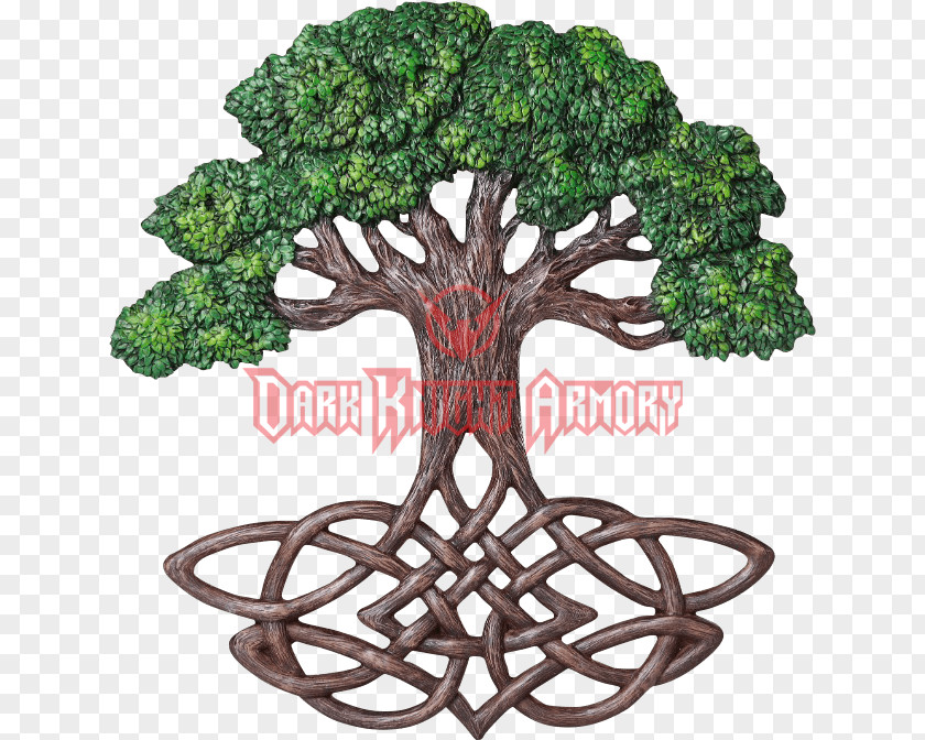 Tree Of Life Celtic Knot Sacred Trees Root PNG