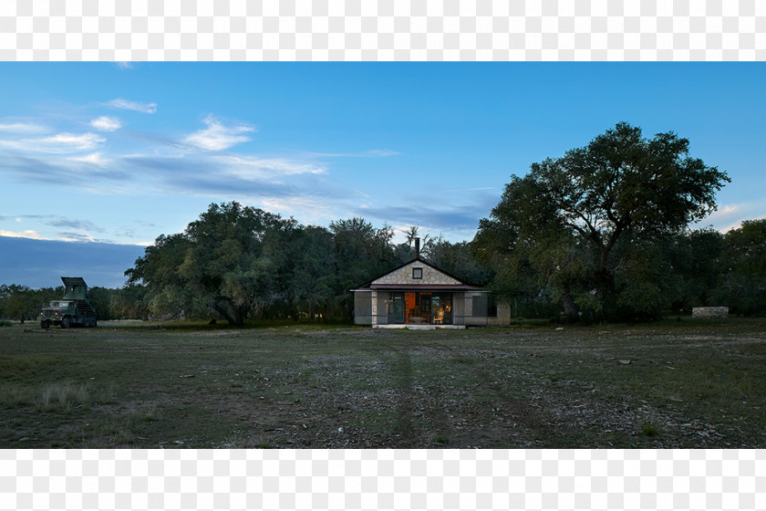 Tree Property Rural Area Loch Sky Plc PNG