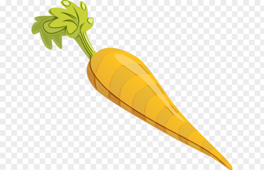 Vegetable Plant Yellow Leaf PNG