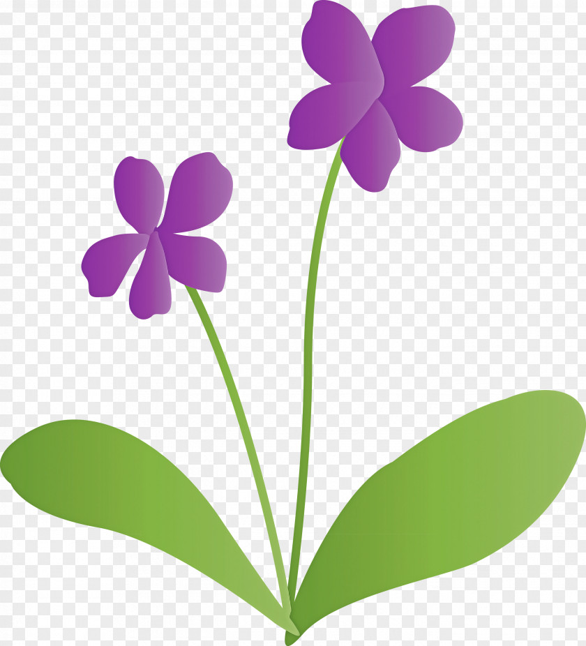 Violet Flower PNG