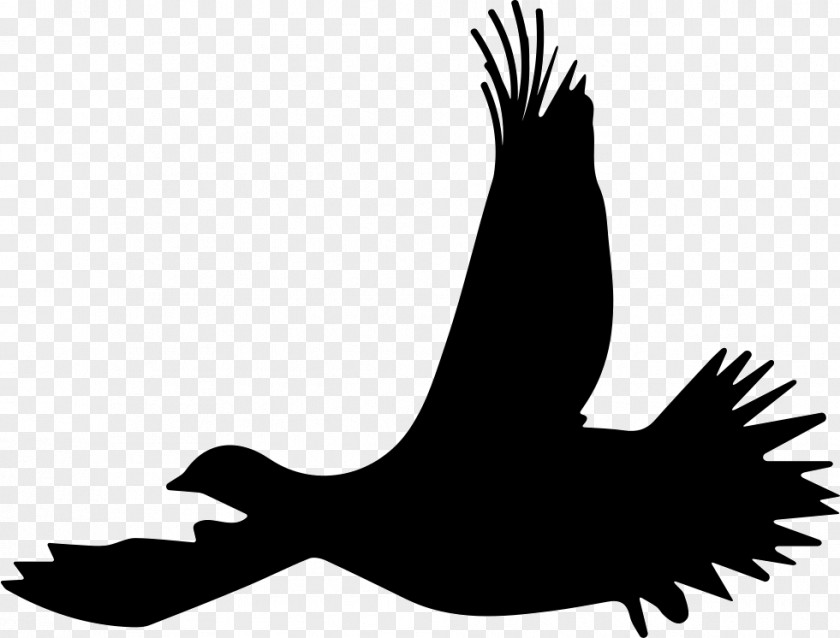 Bird Ruffed Grouse Flight Silhouette PNG