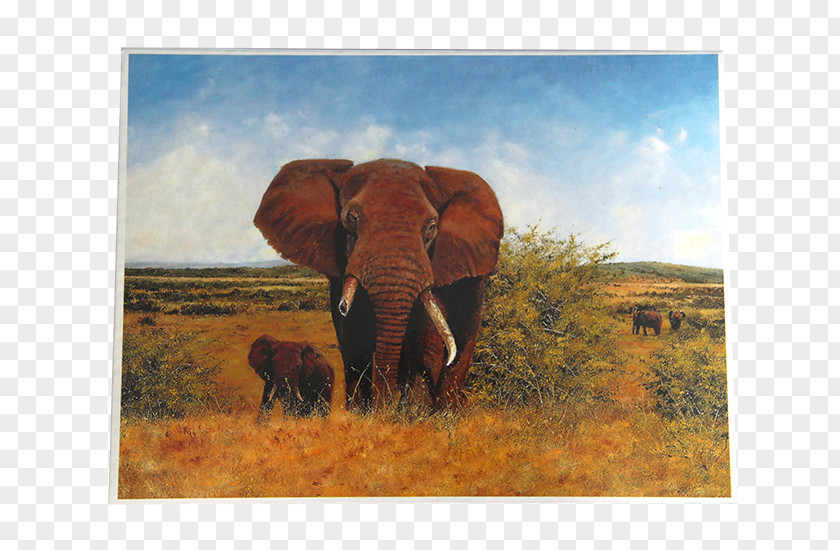 Spill Indian Elephant African Art Landscape Wildlife PNG
