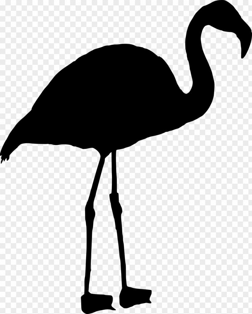 Bird Black And White Clip Art PNG