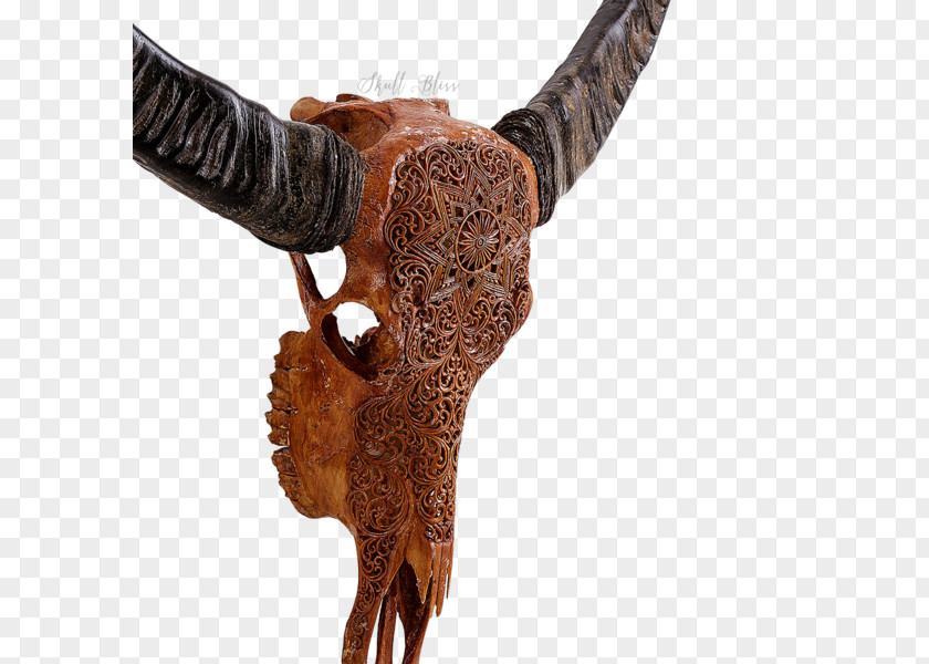 Buffalo Skull Horn Cattle SKULL MYSTIC Antique PNG