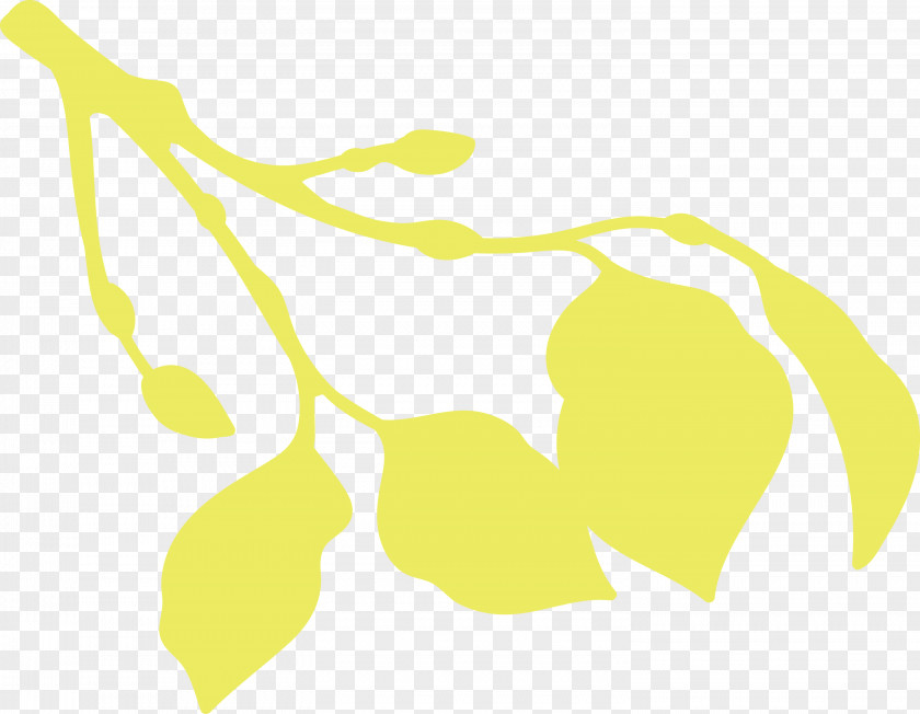 Leaf Yellow Line Meter Plants PNG