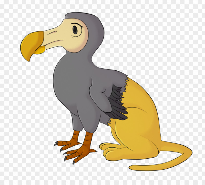 Duck Seabird Penguin Dodo PNG