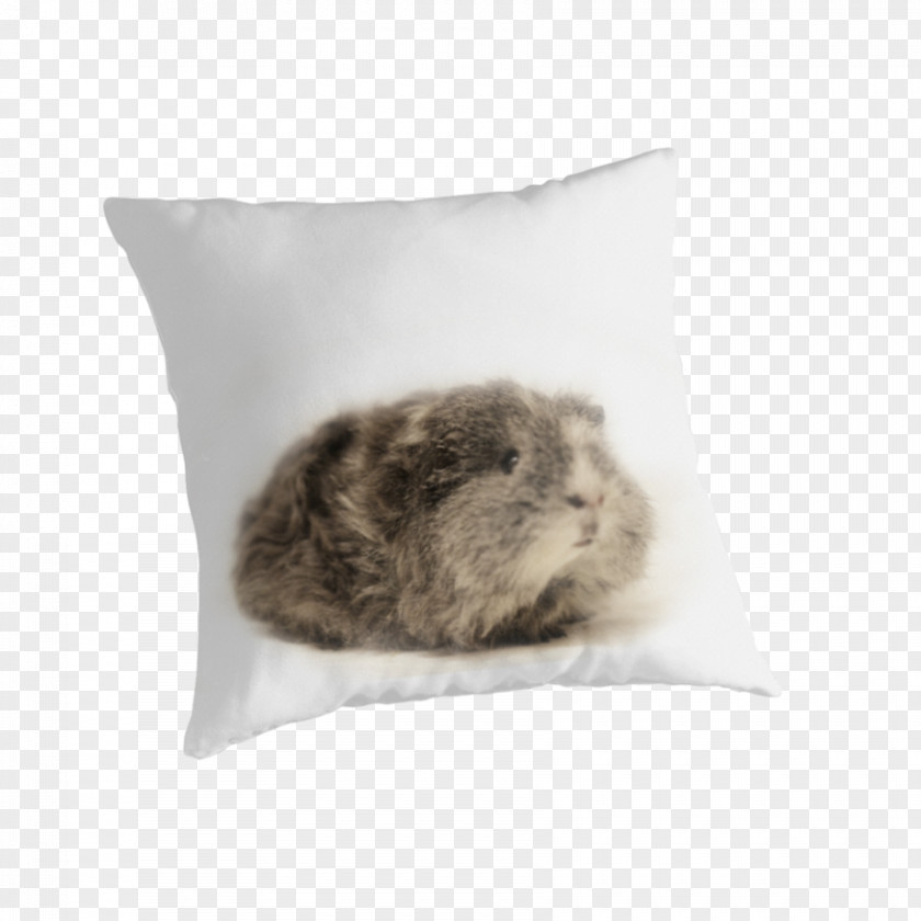 Guinea Pig League Of Legends Cushion Pillow Immortals Snout PNG