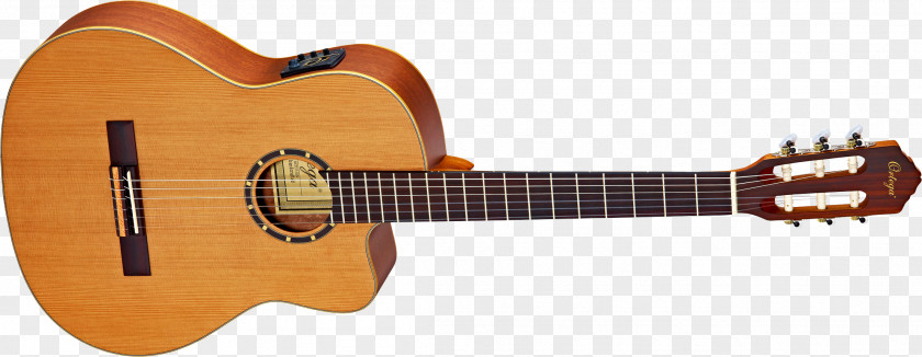 Guitar Classical Acoustic Cort Guitars Bass PNG