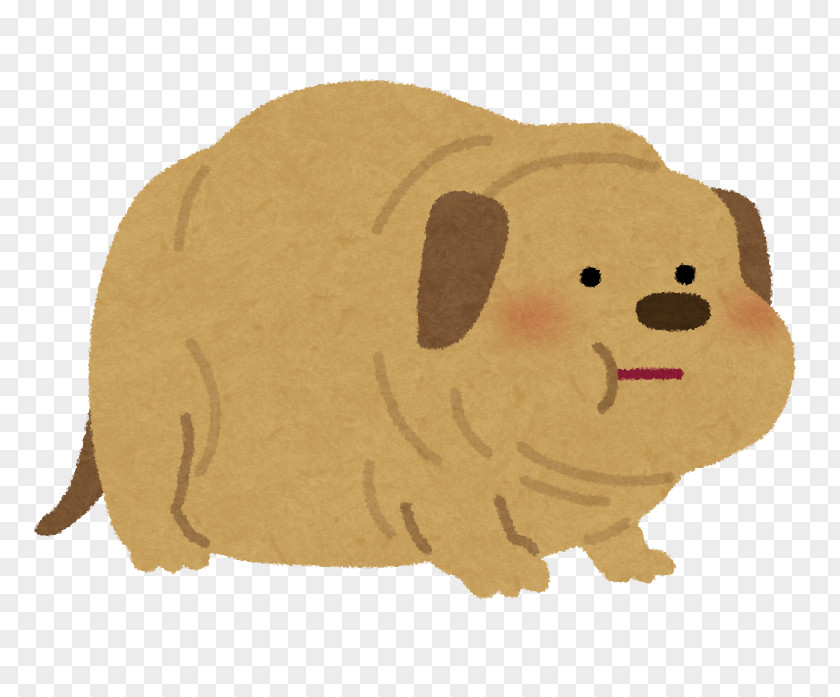 Puppy Poodle Dog Food Cat ドッグサロン PNG