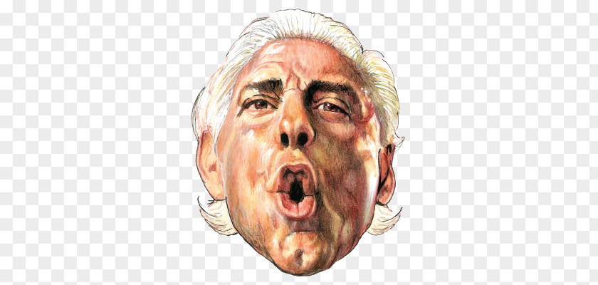 Ric Flair To Be The Man World Heavyweight Championship WWE Professional Wrestler PNG the Wrestler, others clipart PNG