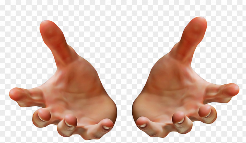 Sign Language Nail Finger Hand Thumb Gesture Arm PNG